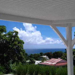 Vétiver , Trois-Rivières Guadeloupe